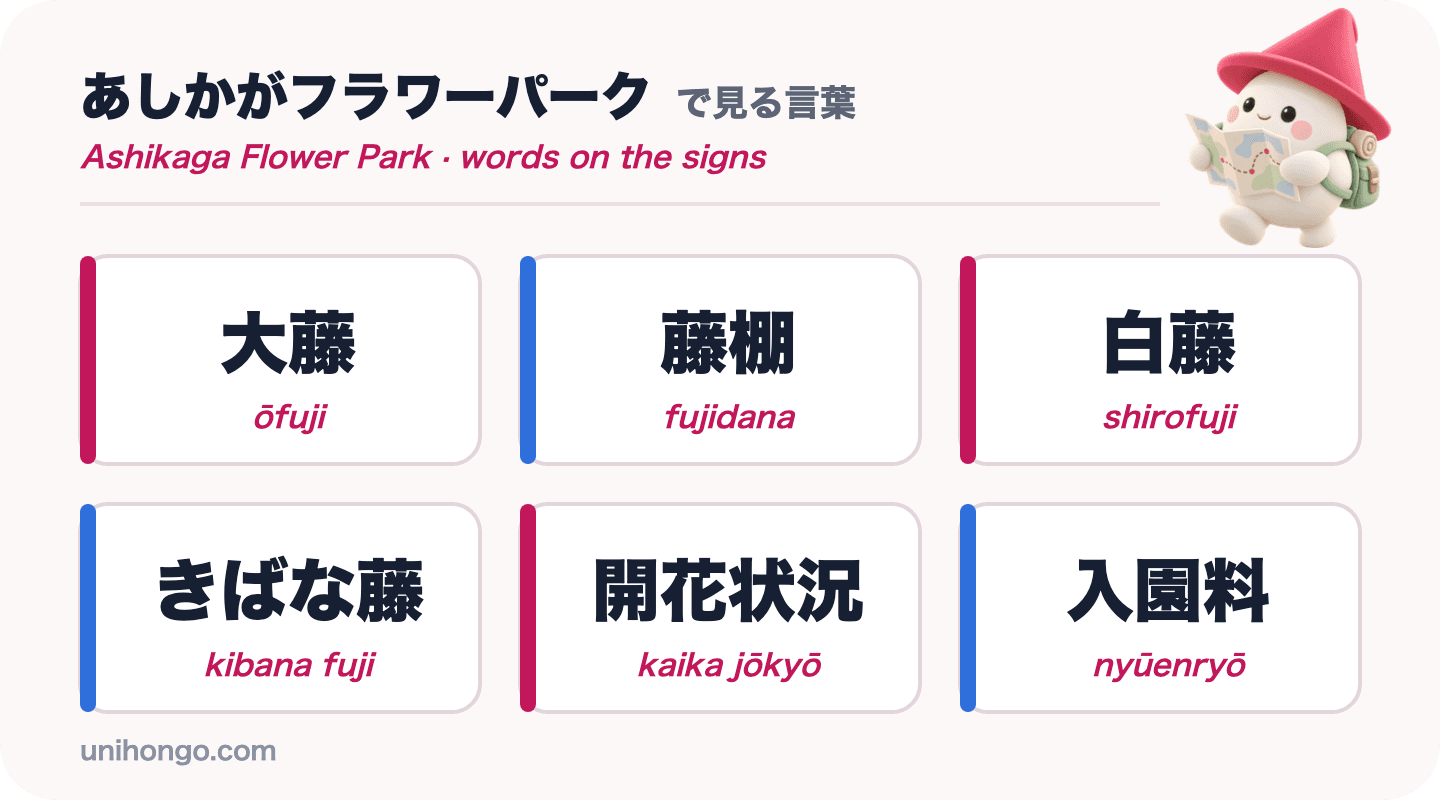 Seis palabras en letreros que verás en Ashikaga Flower Park: ōfuji, fujidana, shirofuji, kibana fuji, kaika jōkyō y nyūenryō, en kanji y kana con romaji