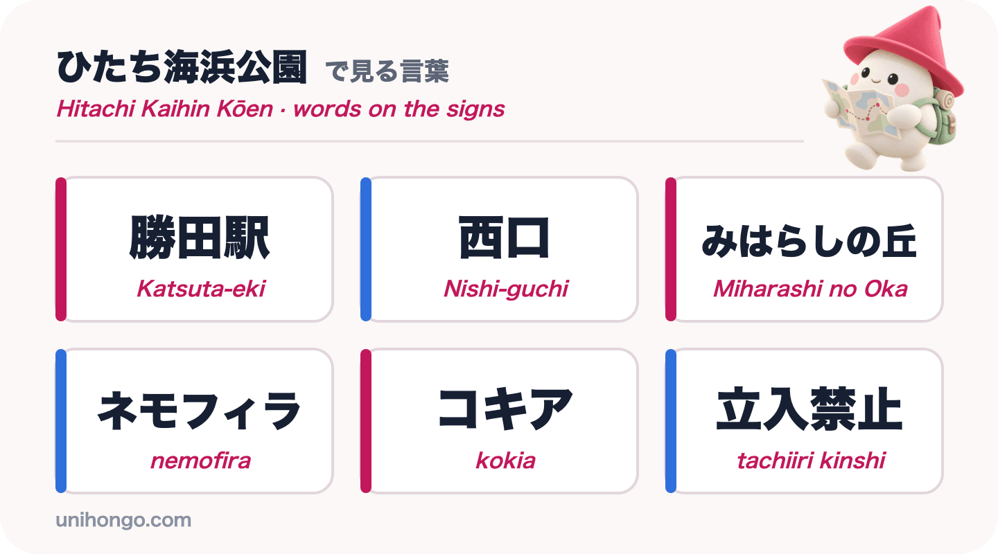 Seis palabras en letreros que verás en un viaje a Hitachi Seaside Park: Katsuta-eki, Nishi-guchi, Miharashi no Oka, nemofira, kokia y tachiiri kinshi, en japonés con romaji