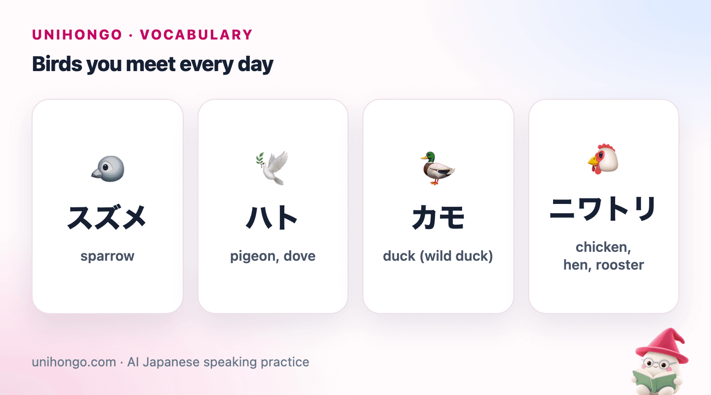 Four picture cards: a sparrow, a dove, a duck and a chicken, each with its Japanese name.