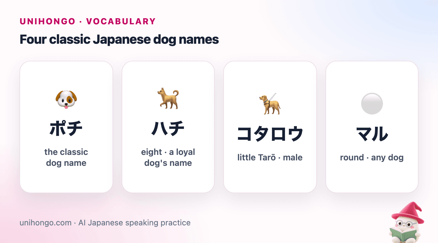 Four picture cards: a classic dog called Pochi, a loyal dog called Hachi with the number eight, a little Shiba called Kotarō, and a round fluffy dog called Maru.