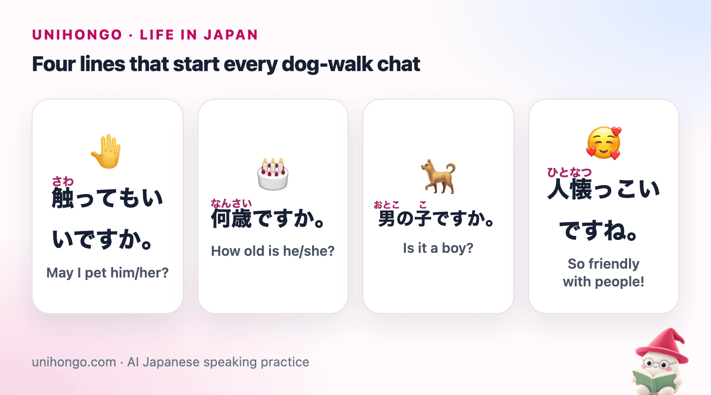 Four picture cards: a hand reaching to pet a dog, a birthday cake for a dog's age, a boy and girl dog side by side, and a friendly dog wagging its tail.