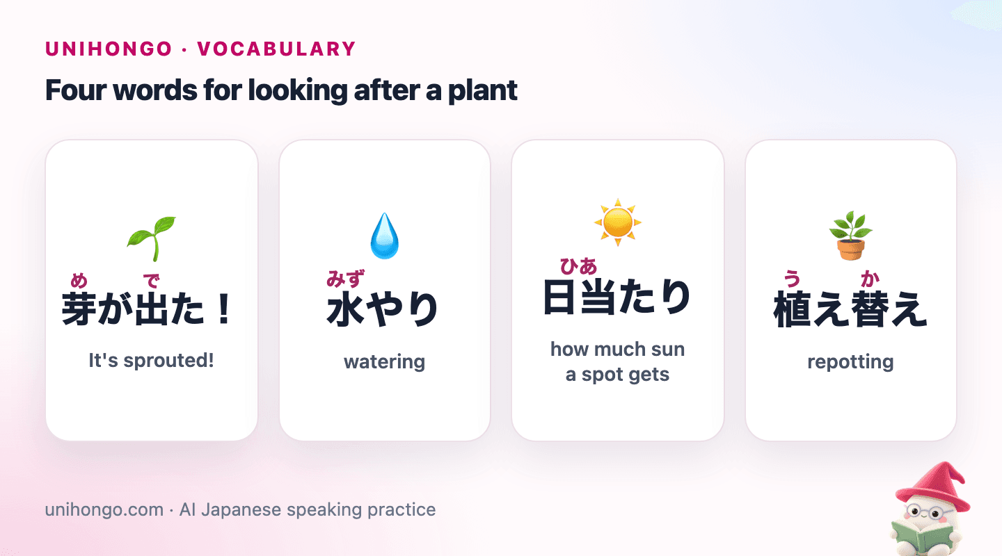 Four picture cards: a green shoot pushing out of the soil, a hand watering a potted plant, a pot in a sunny window, and a plant being moved into a bigger pot.