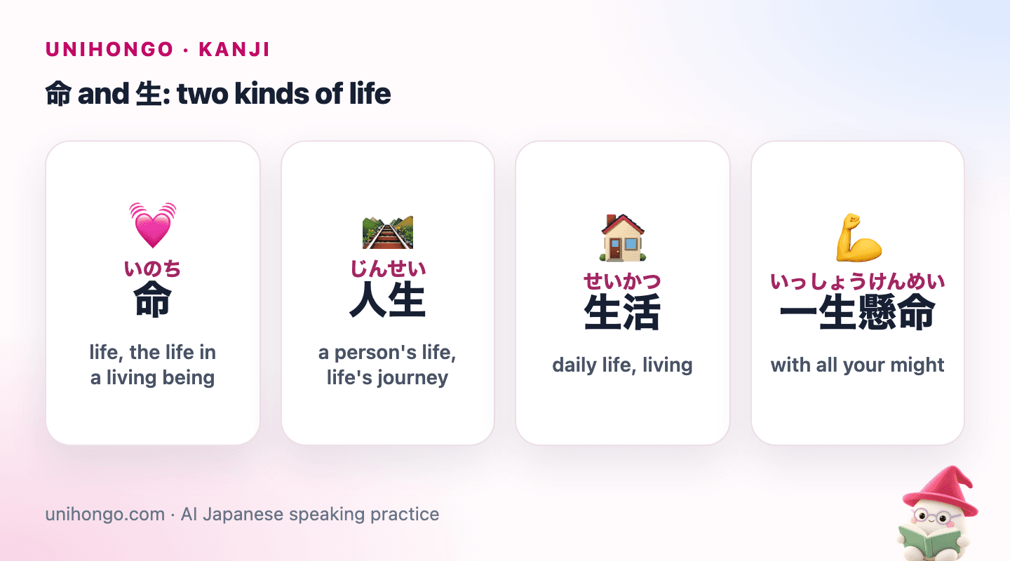Four picture cards: a heartbeat for 命, a winding road for 人生, a daily routine at home for 生活, and a student studying hard for 一生懸命.