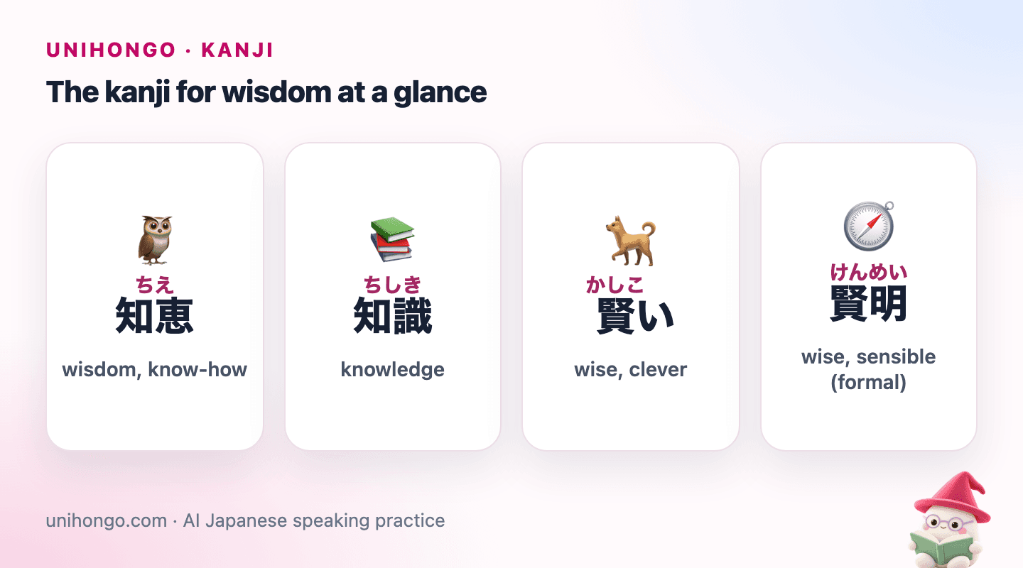 Four picture cards: 知恵 for wisdom, 知識 for knowledge, 賢い for wise or clever, and 賢明 for a wise decision.