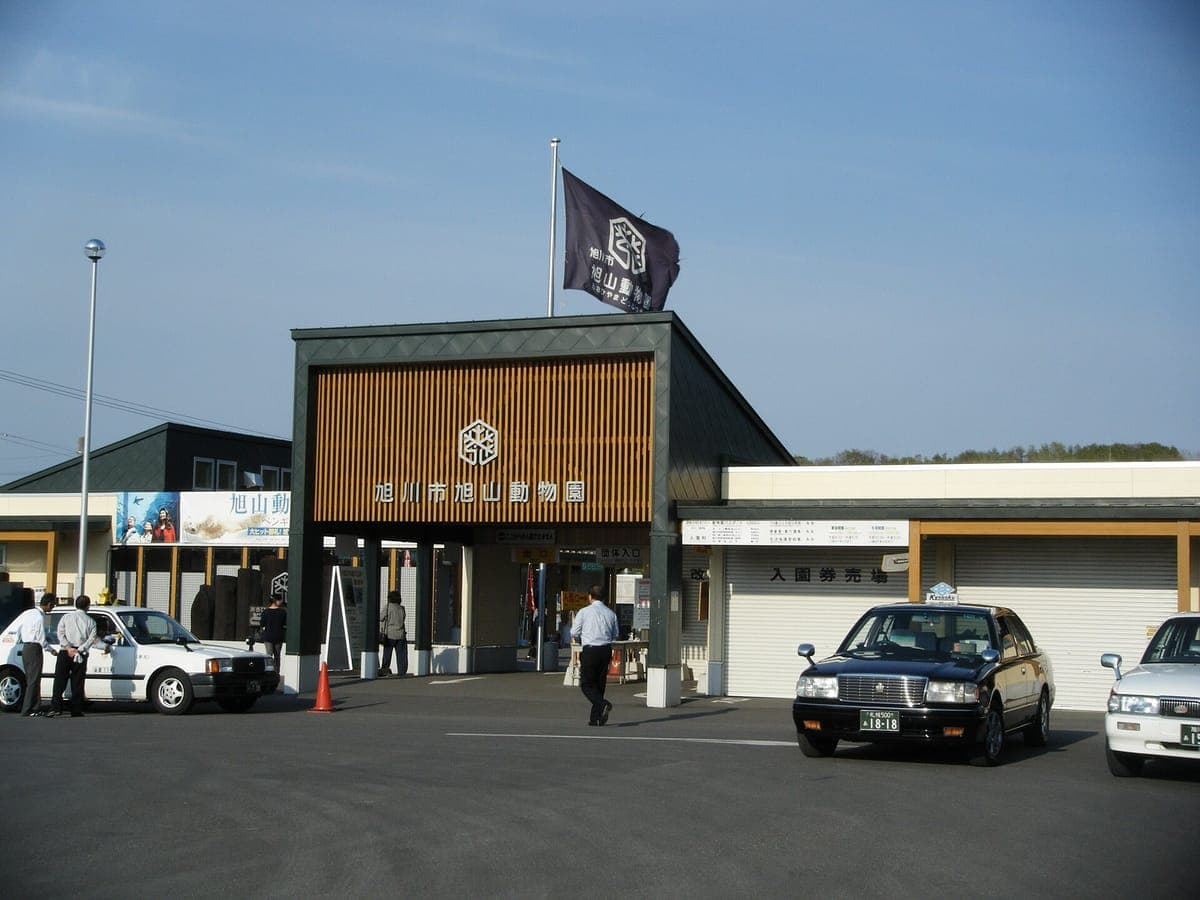 Das Haupteingangsgebäude des Asahiyama Zoos mit einer Holzfassade und dem Namen des Zoos, einer Flagge darüber und davor geparkten Taxis unter blauem Himmel
