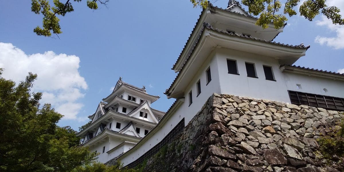Le donjon blanc et une tourelle d'angle du Gujō Château de Hachiman sur de hauts murs de pierre au milieu des arbres, vus d'en bas sur un ciel bleu
