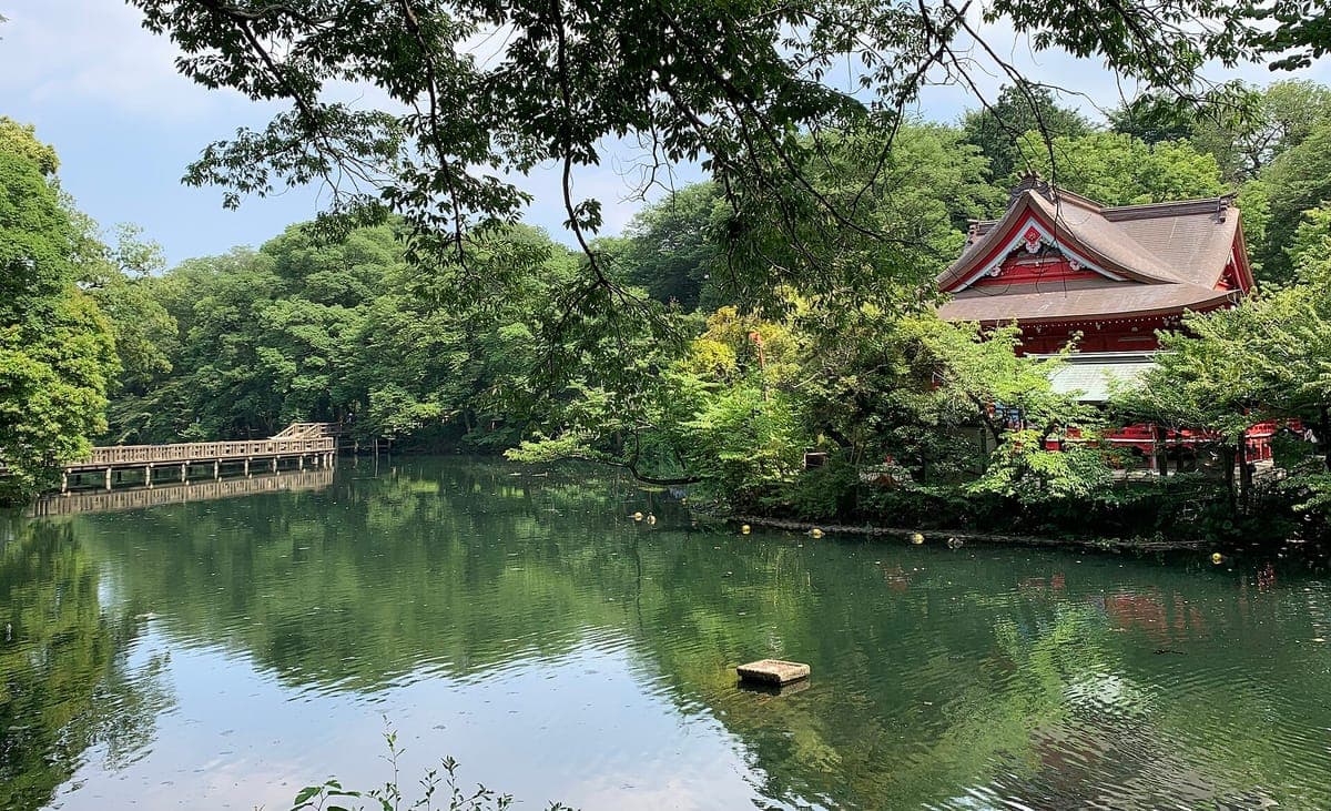 El estanque Inokashira refleja árboles verdes, con la sala roja y blanca Benzaiten en la orilla opuesta y una pasarela de madera a la izquierda.
