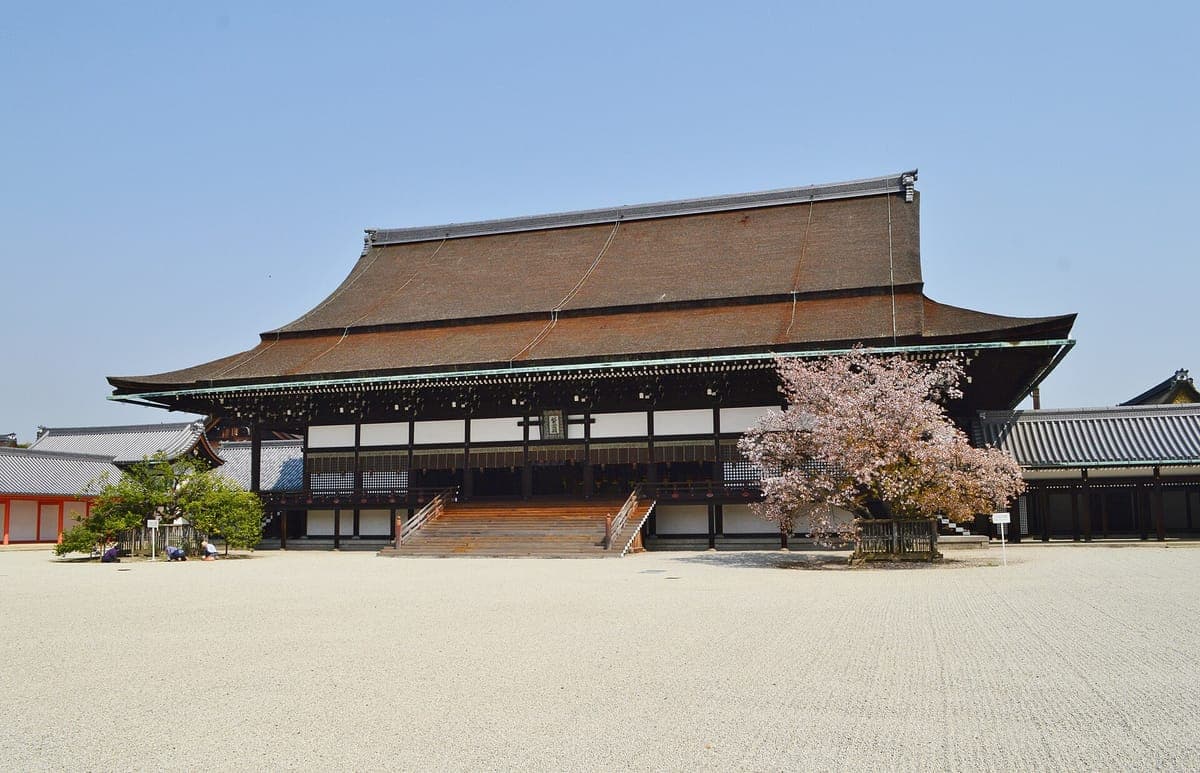 La sala lunga e bassa Shishinden del Palazzo Imperiale di Kyoto con un ampio tetto in corteccia di cipresso, ampi gradini e un albero in fiore, oltre un vasto cortile di ghiaia bianca