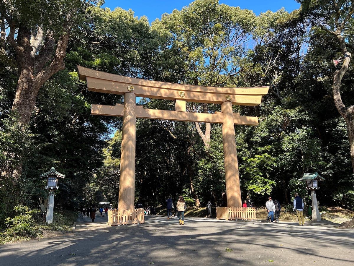 Une grande porte torii en bois sur un large chemin de gravier à Meiji Jingū, entourée d'arbres verts denses et de lanternes en pierre