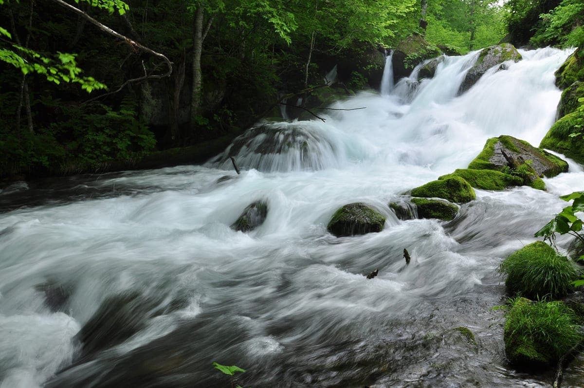 Wildes Wasser stürzt in einer breiten Stromschnelle über moosbewachsene Felsen auf den Bach Oirase, mit einem kleinen Wasserfall dahinter und grünen Bäumen am Ufer