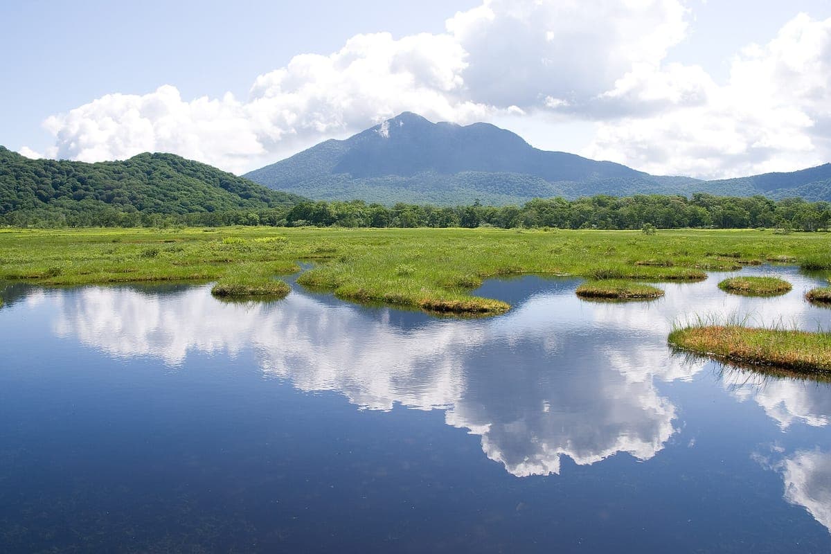 Una pozza tranquilla nella palude di Oze che riflette nuvole bianche, con isolotti erbosi, brughiere verdi e il cono del monte Hiuchigatake sotto un cielo blu