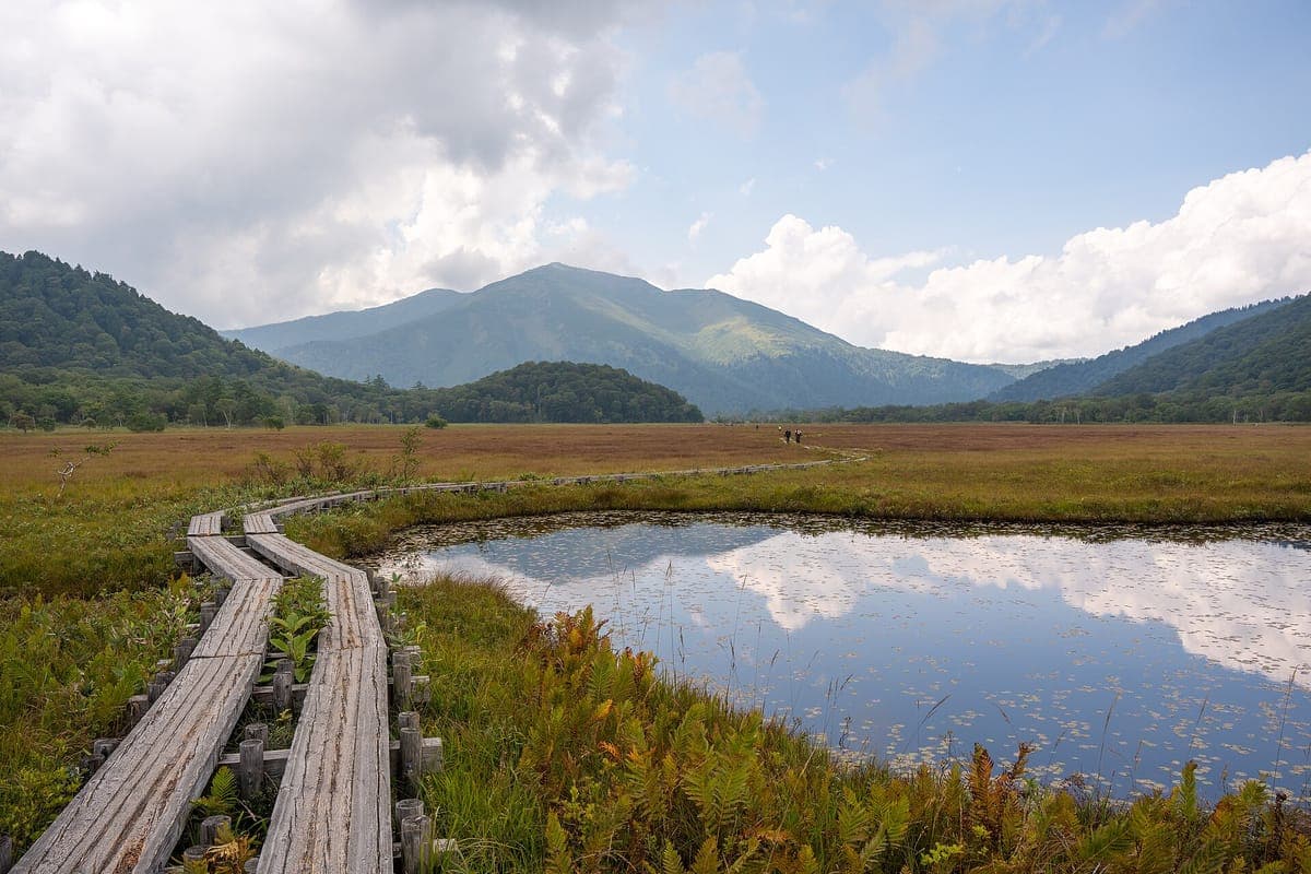 Una doppia passerella in legno che si curva attraverso la brughiera di Oze accanto a una piscina che riflette il cielo, con erbe rossastre e montagne boscose dietro