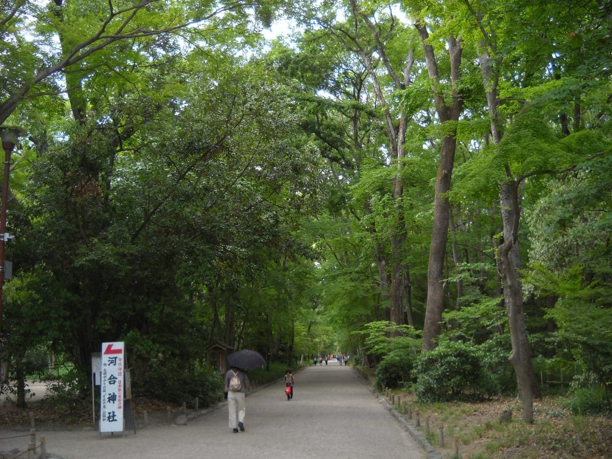 Un ancho camino de tierra a través de los altos árboles verdes de Tadasu no Mori, con una señal para Kawai Jinja a la izquierda y algunas personas caminando en la distancia.