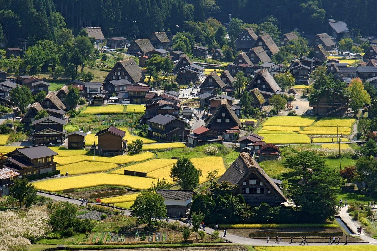 Vue d'en haut sur le village de Ogimachi dans Shirakawa-gō, avec des fermes au toit de chaume escarpé au milieu des arbres verts et des rizières