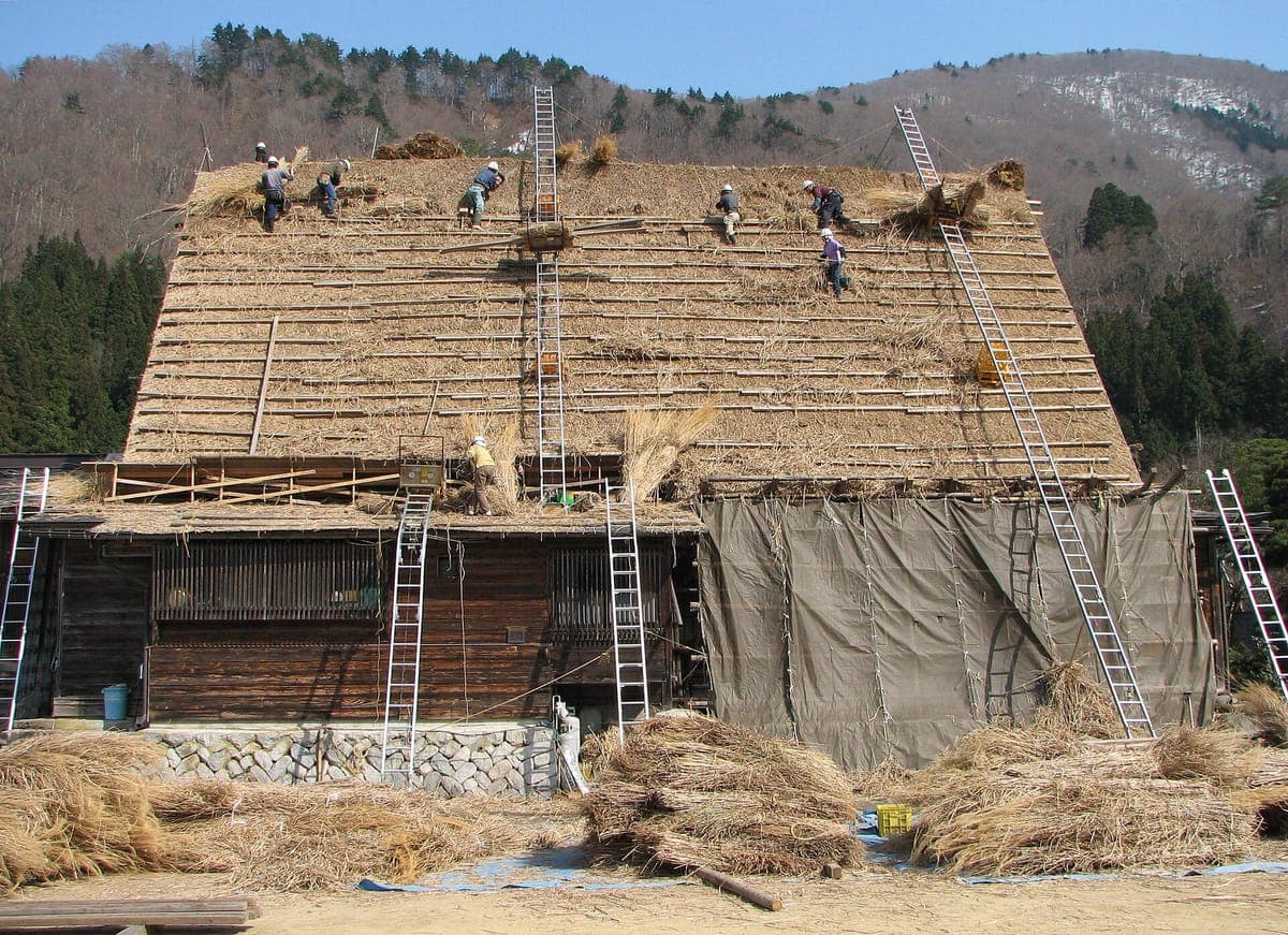 Des ouvriers sur des échelles recouvrent l'immense toit d'une ferme gasshō-zukuri, avec des fagots de chaume entassés sur le sol