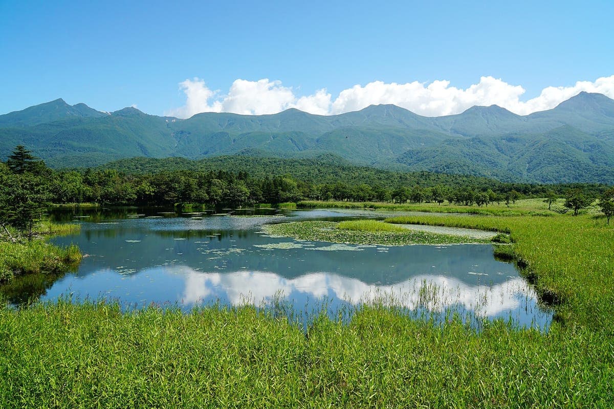Isang tahimik na lawa sa Shiretoko Five Lakes na sumasalamin sa mga puting ulap, napapaligiran ng mga berdeng tambo at kagubatan, na may hanay ng mga berdeng bundok sa likod sa ilalim ng asul na kalangitan