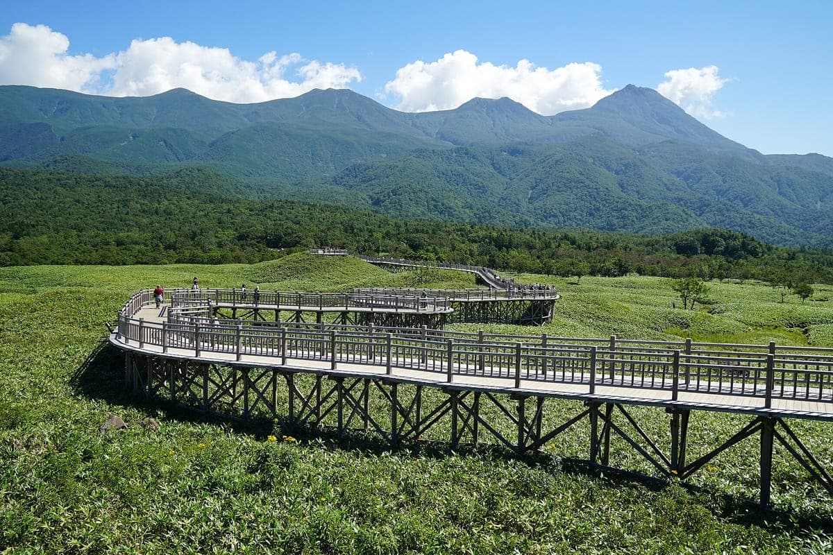 Isang nakataas na kahoy na boardwalk na may mga rehas na nakakurbada sa berdeng damong kawayan sa Shiretoko Five Lakes, na may mga kagubatan na bundok at ulap sa likod