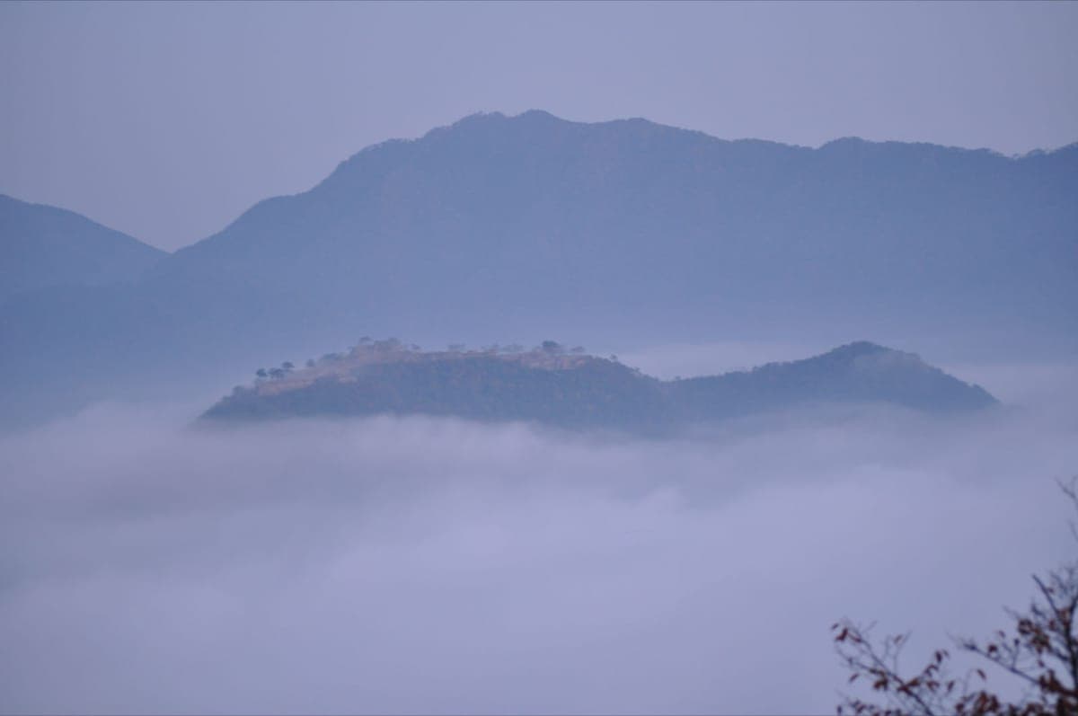Runtuhan Istana Takeda di puncak bukit panjang yang menjulang dari lautan awan putih, dengan gunung biru di belakang dan dahan kosong di sudut