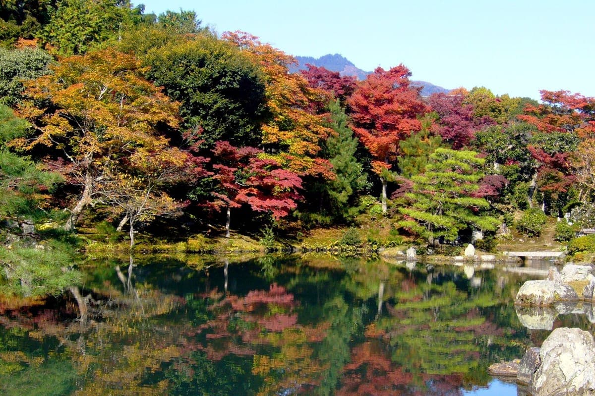 Un estanque tranquilo que refleja árboles otoñales rojos, naranjas y verdes y una montaña bajo un cielo azul en el jardín Sōgenchi de Tenryū-ji