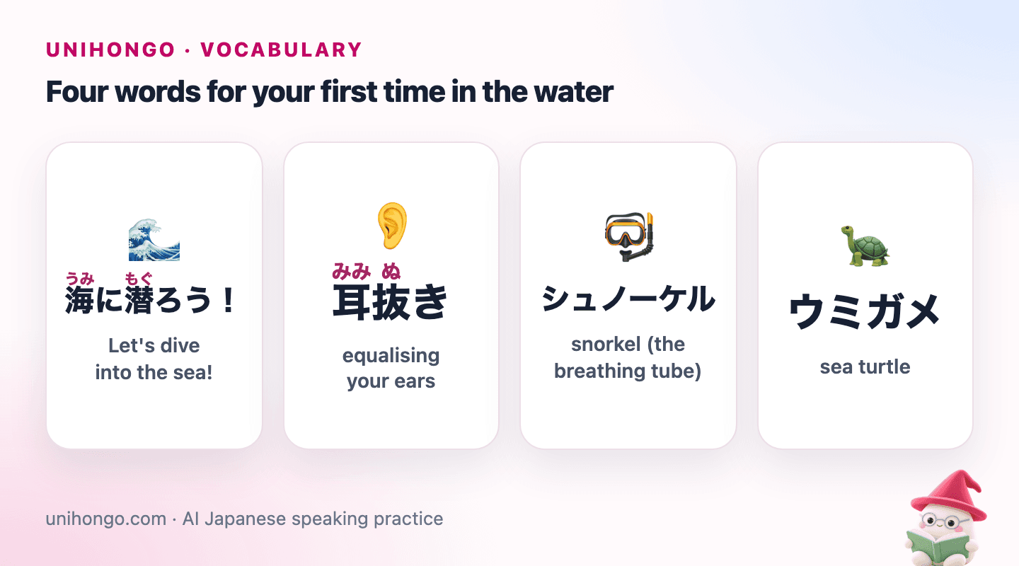 Four picture cards: friends jumping into a blue sea, a diver pinching the nose to equalise, a snorkel and mask, and a sea turtle swimming over coral.