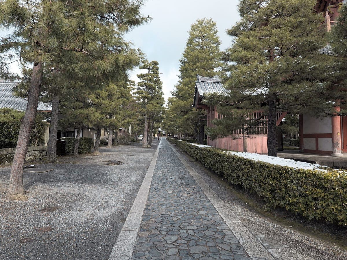 Un largo y recto camino de piedra en Daitoku-ji que discurre entre setos recortados, pinos y las paredes de los subtemplos.