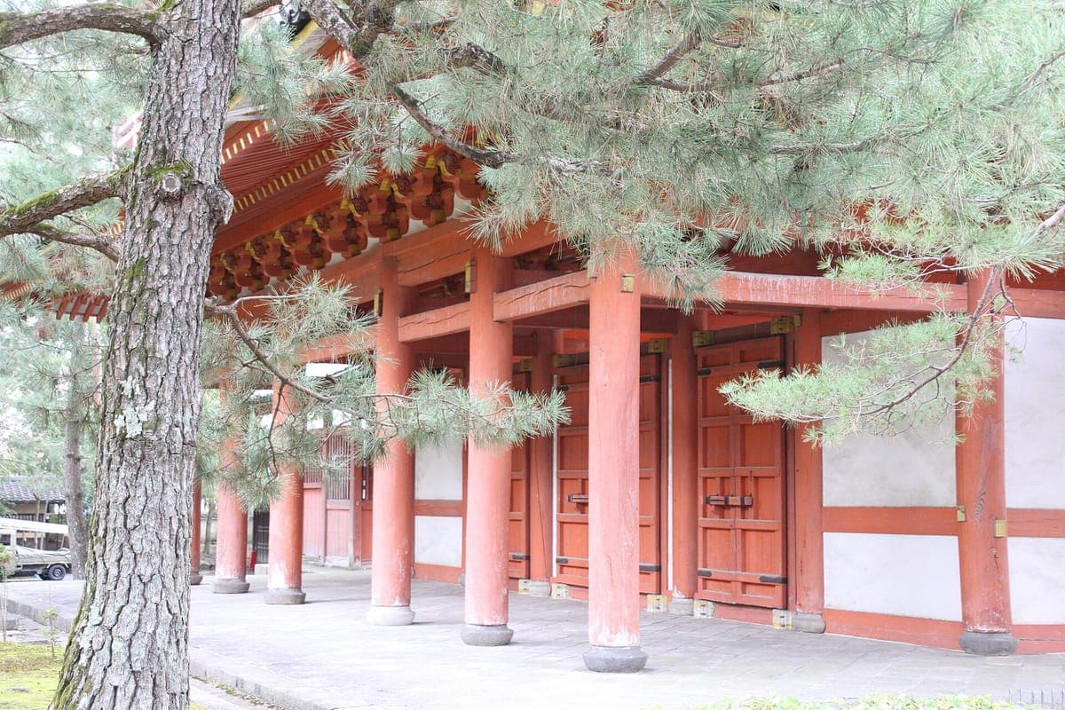 Los pilares bermellones y las paredes blancas del piso inferior de la puerta Sanmon de Daitoku-ji, enmarcadas por ramas de pino.