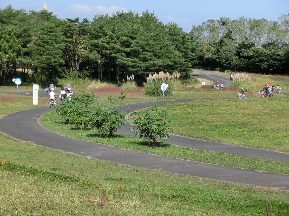 Un carril bici pavimentado que serpentea a través de verdes prados y árboles jóvenes en Hitachi Seaside Park, con ciclistas en la distancia y bosques de pinos detrás