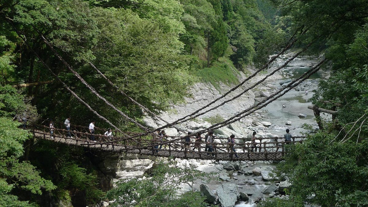 El puente de enredaderas Iya no Kazurabashi que cruza un río rocoso entre laderas densamente boscosas, y los visitantes cruzan sobre listones de madera.