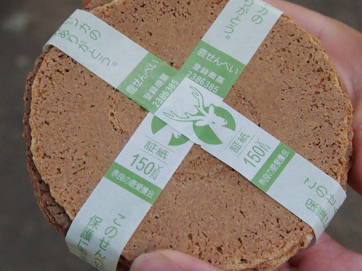 Una mano que sostiene una pila de galletas de ciervo redondas shika senbei unidas con una banda de papel impresa con el logotipo de un ciervo