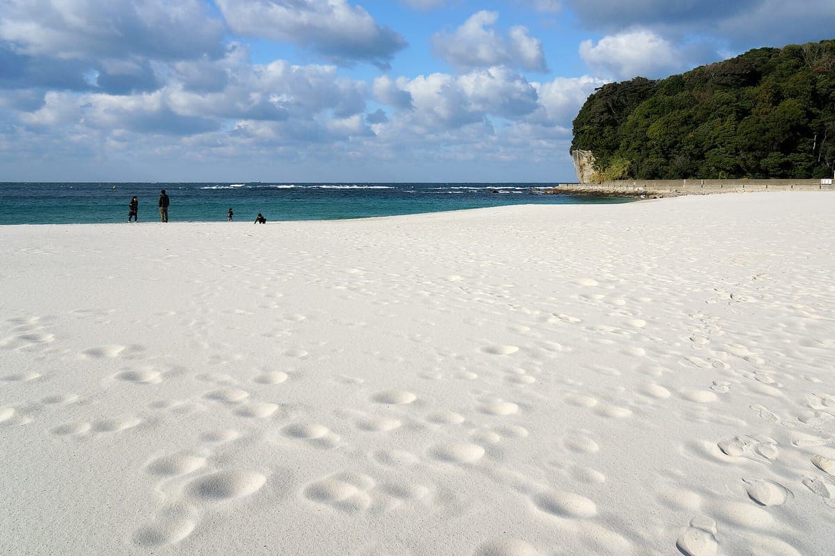 Maliwanag na puting buhangin na natatakpan ng mga bakas ng paa sa Shirarahama beach na may turquoise na dagat at isang punong kahoy sa ilalim ng asul na kalangitan